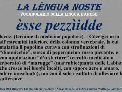 I termini dimenticati del dialetto barese